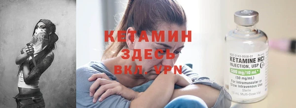 сатива Балахна