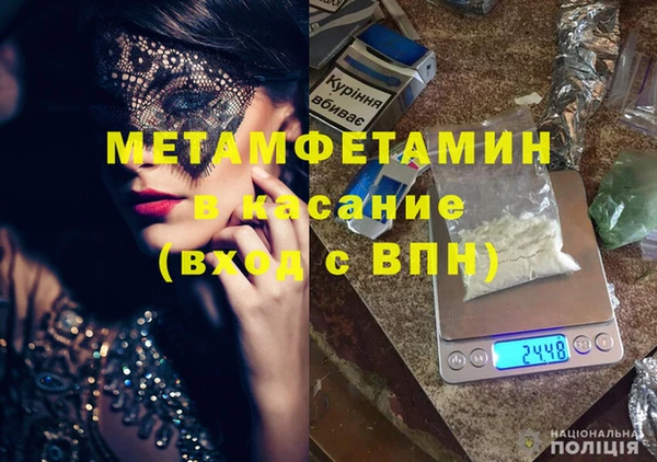 сатива Балахна